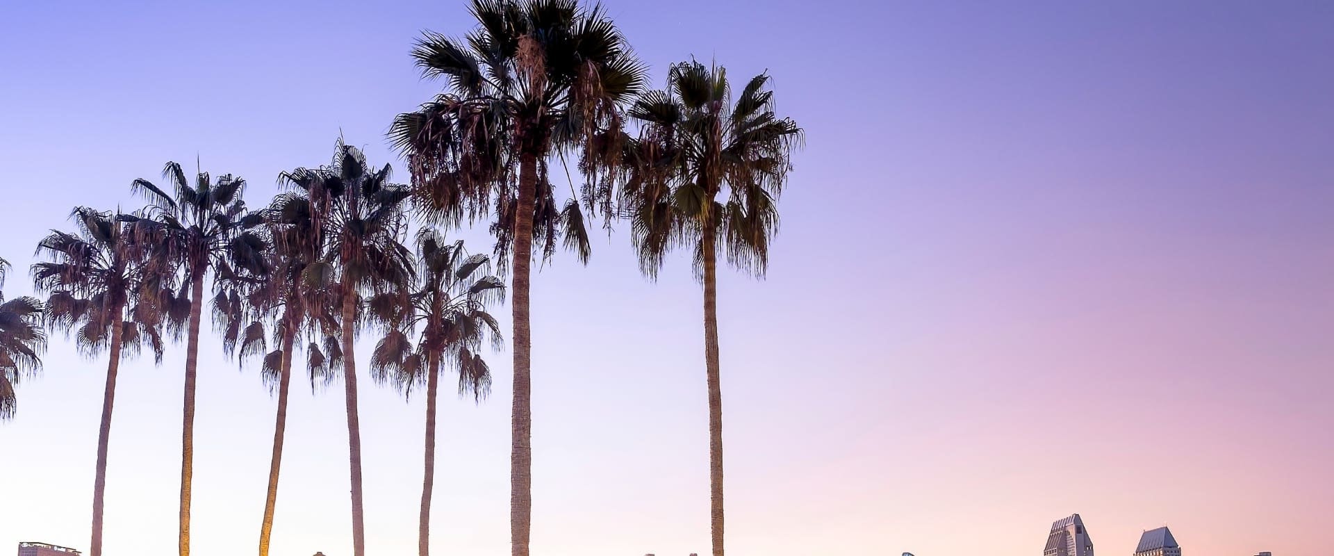 Employment Rates and Job Market Trends in Santee, CA