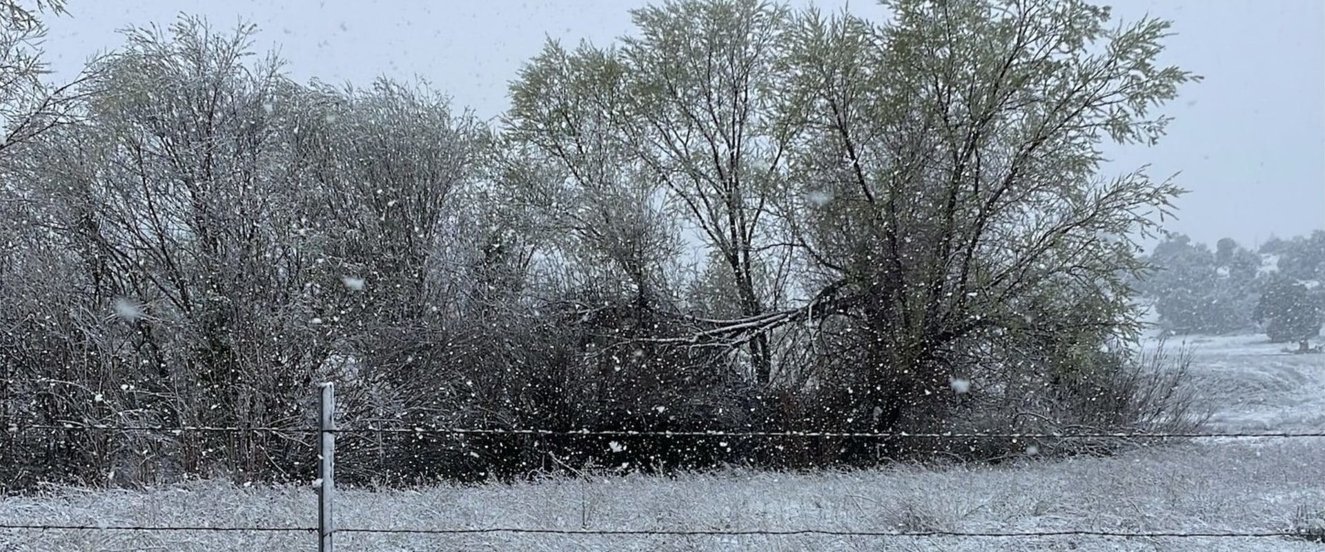 Understanding Winter Storm Advisories in Santee, CA