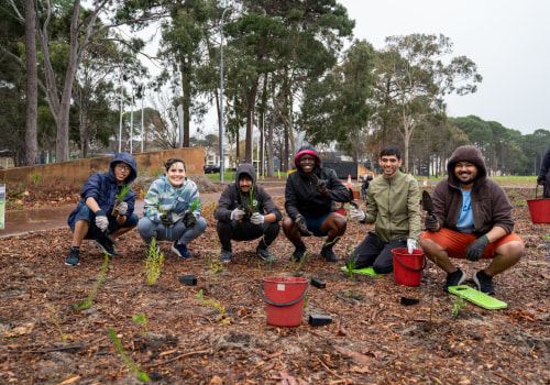 Community Initiatives Driving Climate Action in Santee, CA